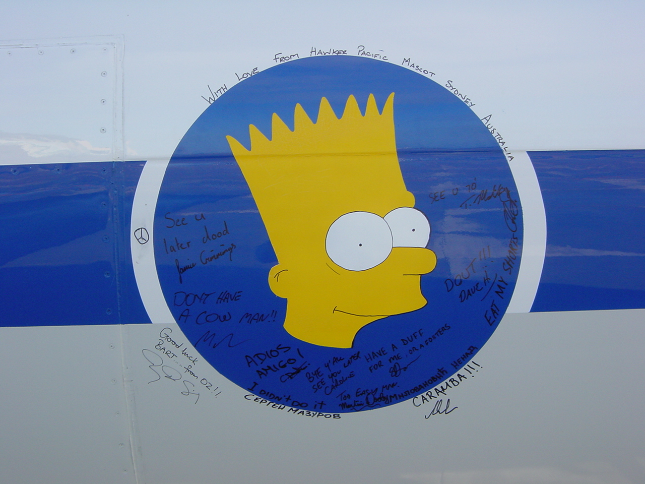 The Simpsons family flying private